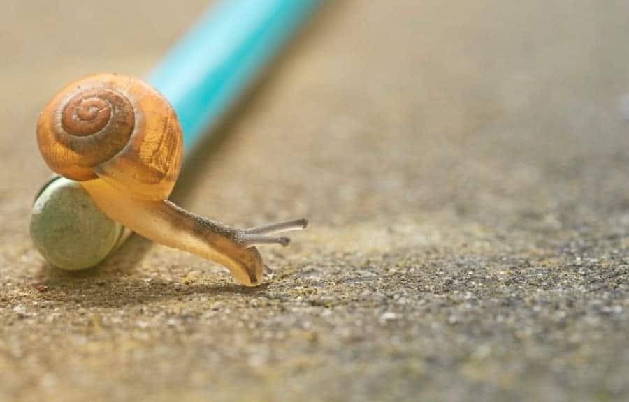 Slow, slow writing